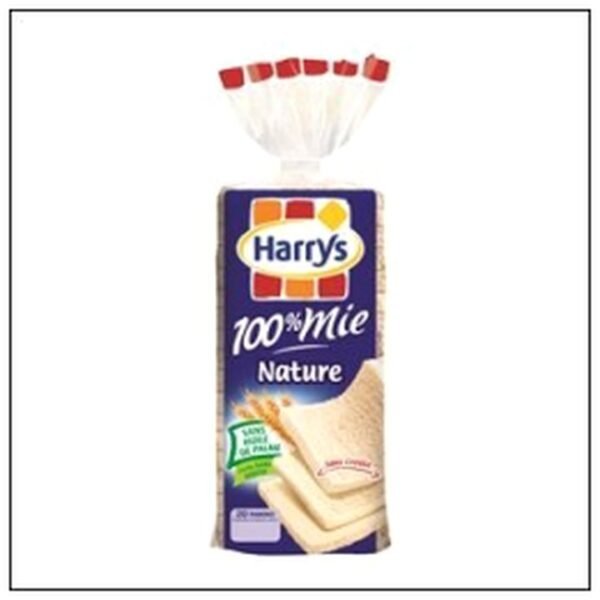 PAIN 100% MIE NATURE 500G HARRY'S