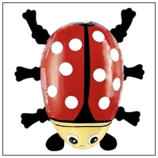 COCCINELLE CHOCOLAT AU LA IT 50G