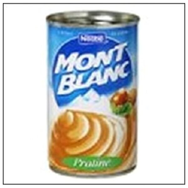 B.CREME PRALINE 570G MONT BLANC