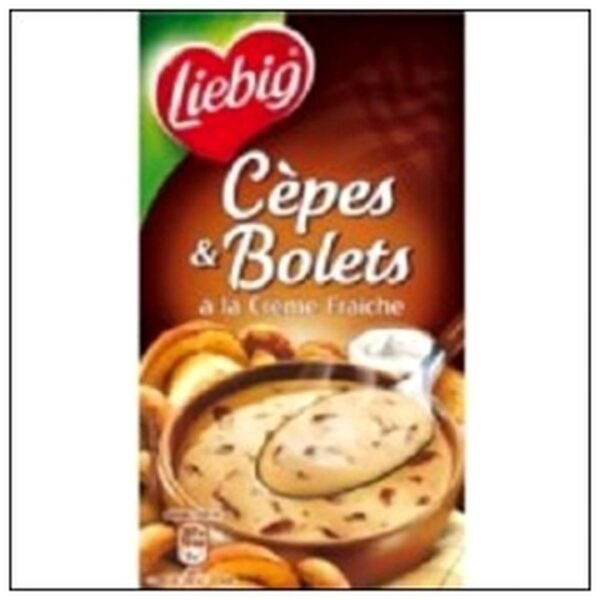 BRICK LIT.VELOUTE CEPES & BOLETS A LA CREME LIEBIG