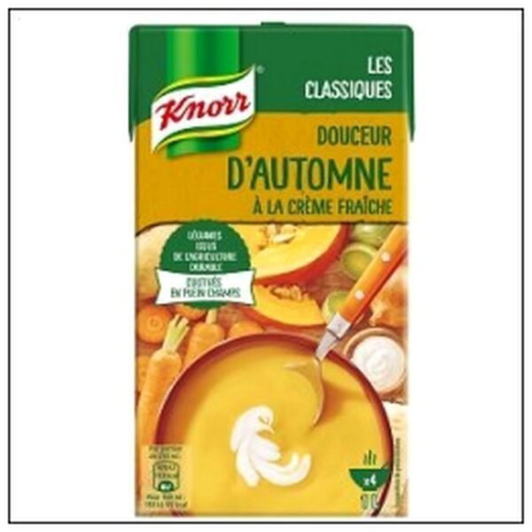 BRICK LIT.DOUCEUR AUTOMNE CREME FRAICHE KNORR