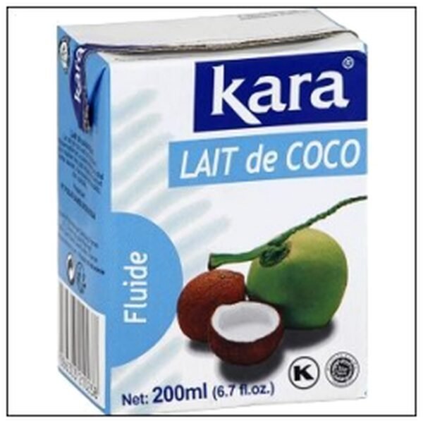 BRIQUE LAIT DE COCO 200ML KARA