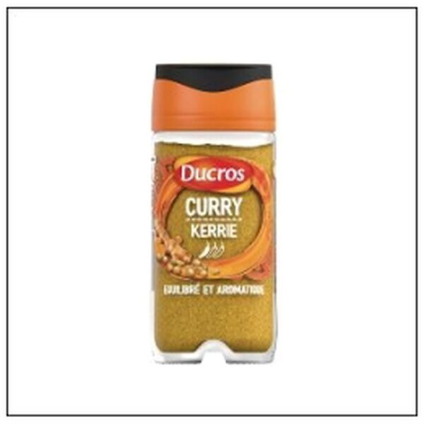 FLACON CURRY POUDRE 47G DUCROS