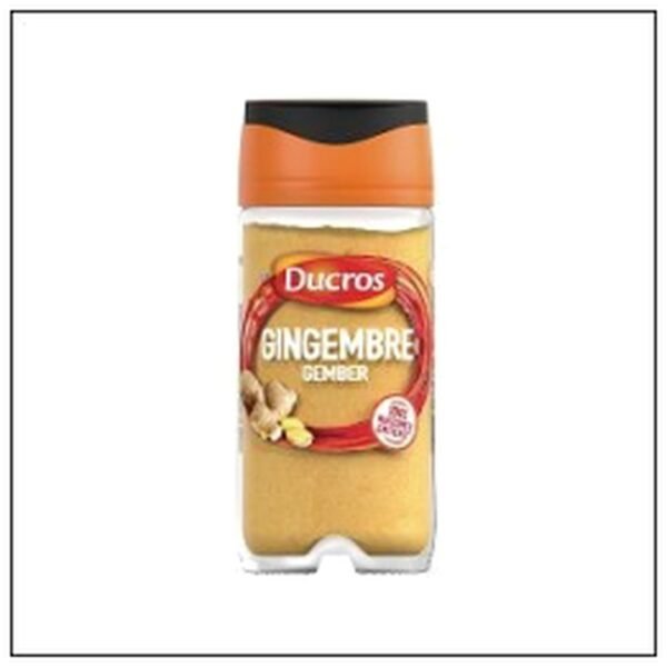 FLACON GINGEMBRE MOULU 29G DUCROS