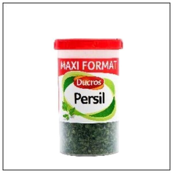 BOITE MENAGERE PERSIL 17G DUCROS