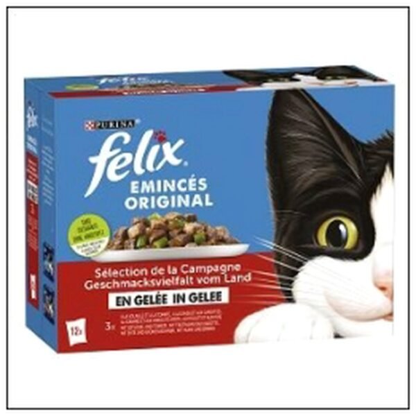 L.12 POCHONS 85G FELIX EM INCES GELEE VIANDES LEGUM