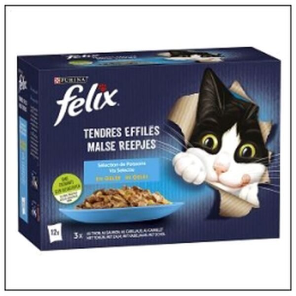 L.12 POCHONS 85G EFFILES POISSONS CHAT FELIX
