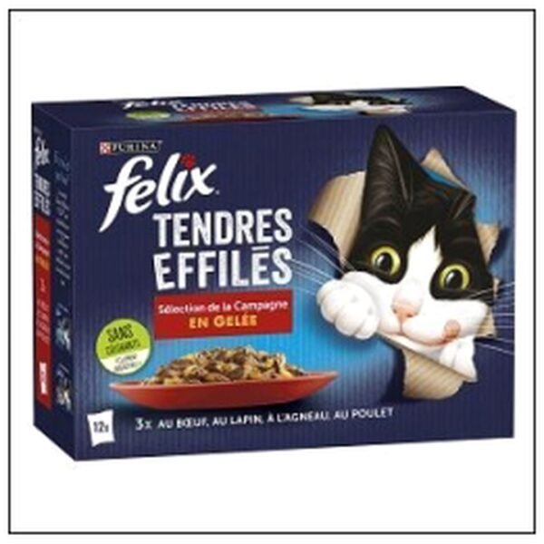 L.12 POCHONS 85G EFFILES GELEE CAMPAGNE CHAT FELIX