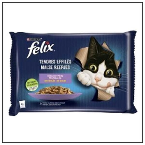 L.4 POCHONS 85G EFFILES N GELEE MIXTE CHAT FELIX