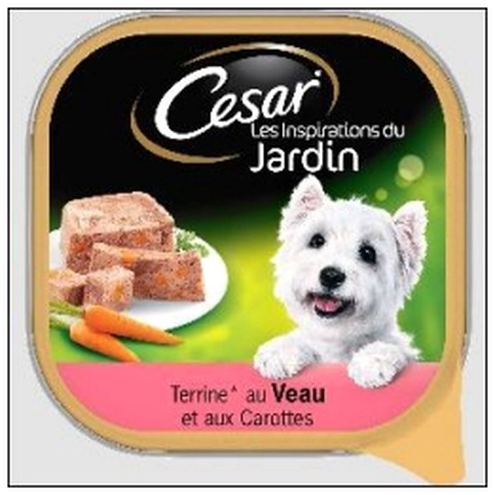 CAT-03326 BQ.300 CESAR AU VEAU - Image 1