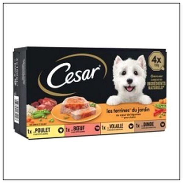 4 BQ TERRIN JARDIN/LEGUM ES 150G CHIEN ADUL.CESAR