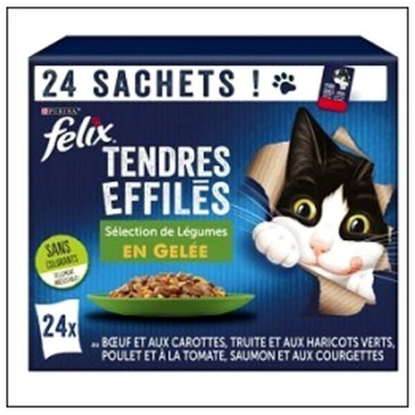 L.24 POCHONS 85G EFFILES GELEE MIXTE LEGUME FELIX