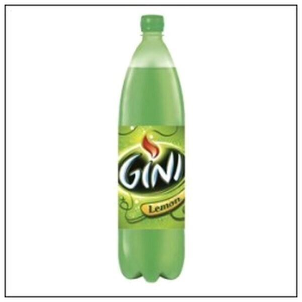 GINI 1L5