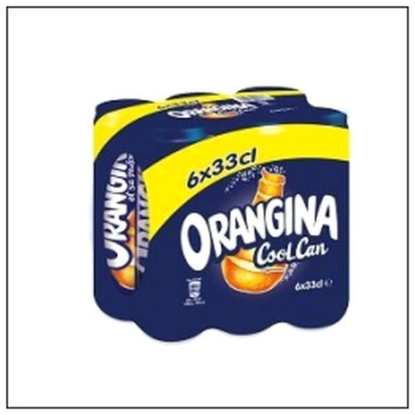 L.6 BOITES ORANGINA 33CL