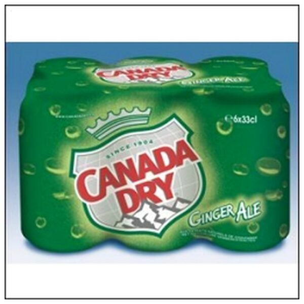 LOT 6 BOITES CANADA DRY 33CL