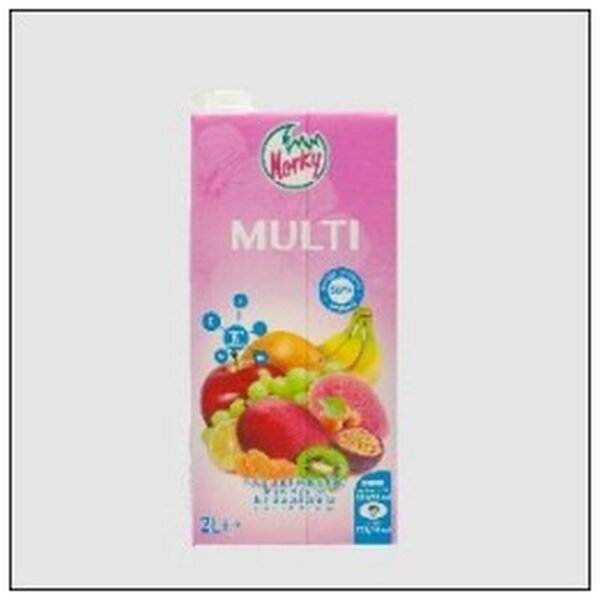 BRIQUE NECTAR MULTIFRUITS NORKY 2L