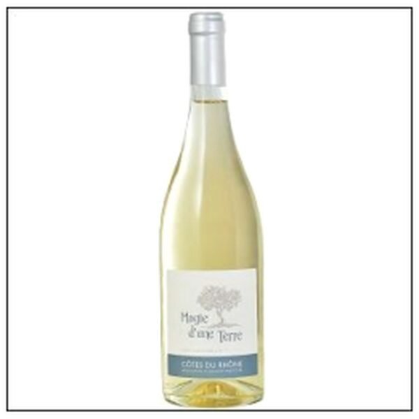 CÔTE DU RHONE BLANC MAGIE TERRE 2024