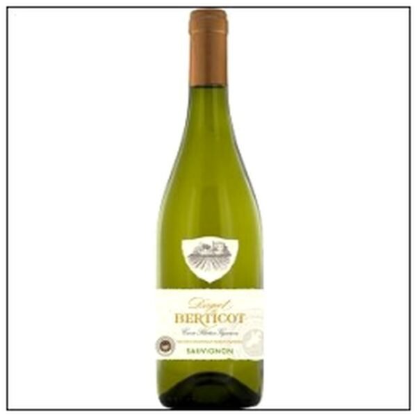 SAUVIGNON I.G.P DAGUET DE BERTICOT 2023 BLANC