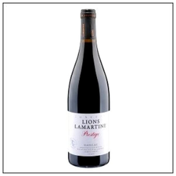 GAILLAC RGE CHATEAU LIONS LAMARTINE 22 MED OR 24