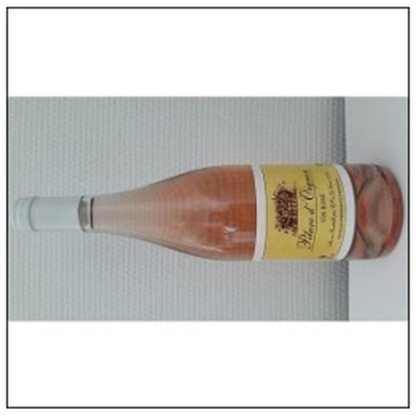 VIN DE TABLE ROSE PELURE 11°