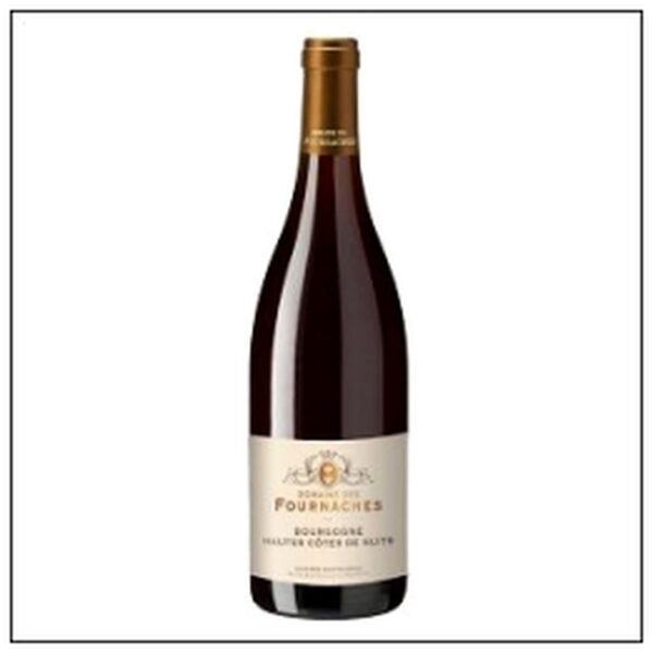 BOURGOGNE HAUTES COTES DE NUITS DOM.FOURNACHES 2023