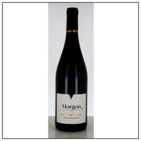 MORGON DOMAINE DE VERMONT 75CL 2023 HVE3