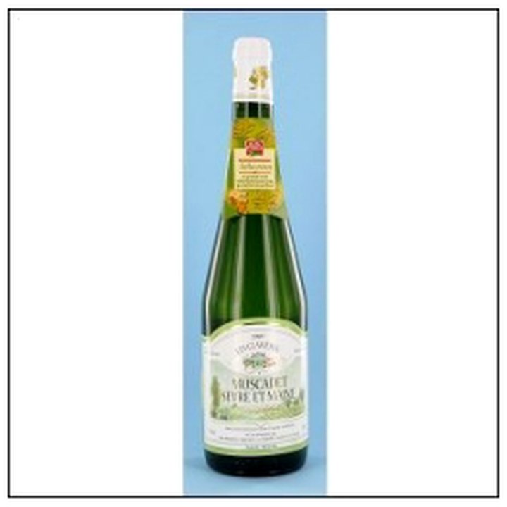 CAT-04320 MUSCADET SEVRE/MAINE AOC 75CL BELLE FRANCE - Image 1