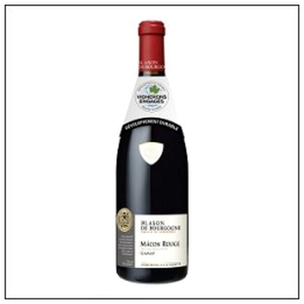 MACON ROUGE BLASON DE BO URGOGNE 2024 75CL