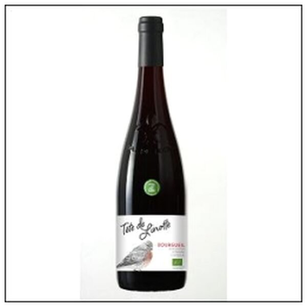 BOURGUEIL BIO TETE DE LIN OTTE 2024