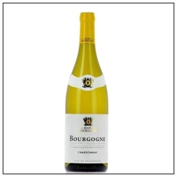 BOURGOGNE CHARDONNAY 2023 SIGNE BOURGOGNE
