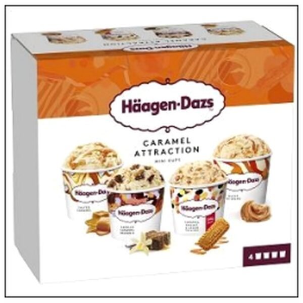 MINIPOTS CARAMEL ATTRACTI ON 324G HAAGEN DAZS