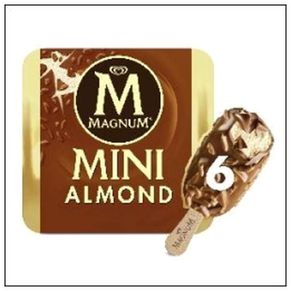 ET.6 MINI MAGNUM AMANDE SURGELES