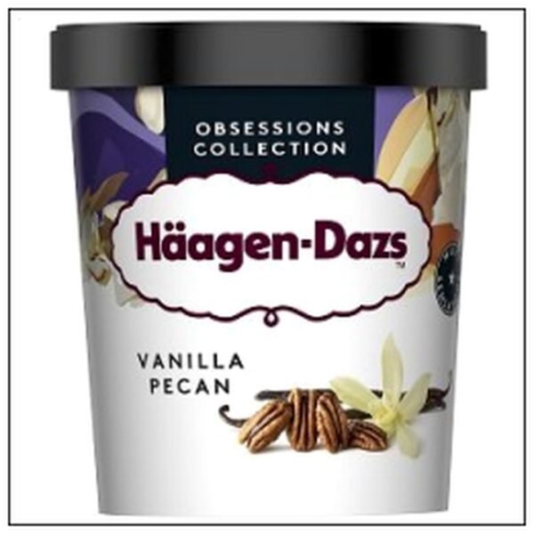 POT 400G NOIX PECAN HAAGEN DAZS