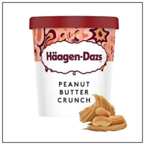 POT PEANUT BUTTER 400G HAAGEN DAZS