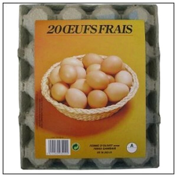 PL.20 OEUFS FRAIS MOYEN *