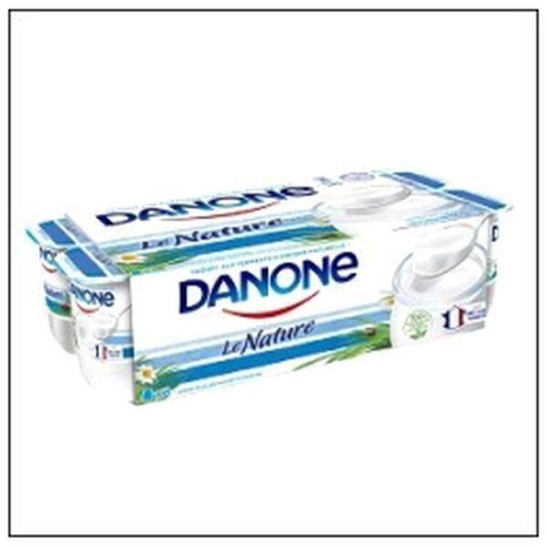 DANONE LE NATURE 125G X8