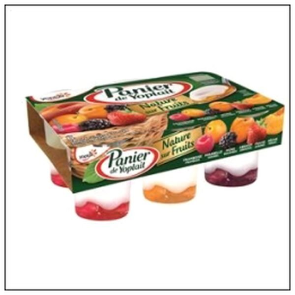 PANIER NATURE SUR FRUITS PANACHE 6X140G YOPLAIT