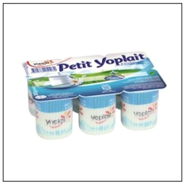 PETIT YOPLAIT 3.8% 6X60G