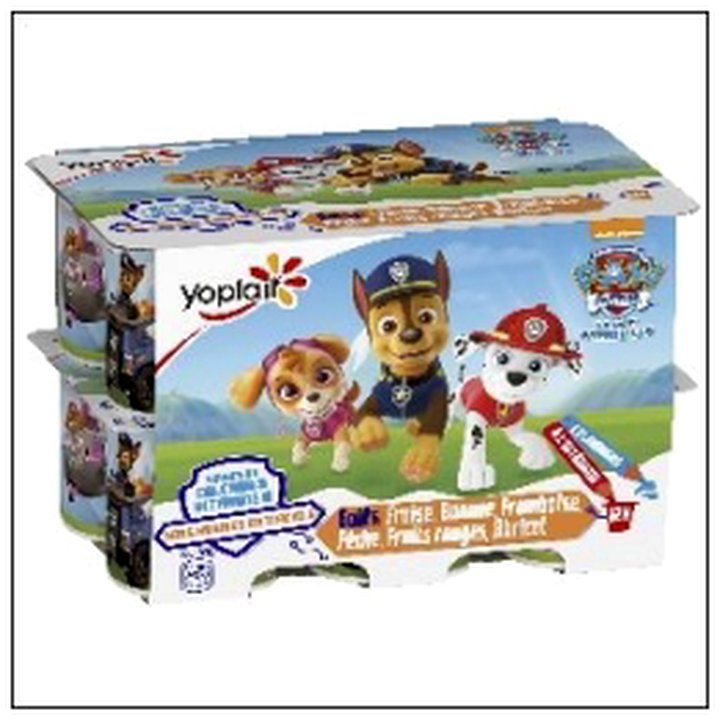 CAT-05459 PAT PATROUILLE AUX FRUITS 12X50G YOPLAIT - Image 1