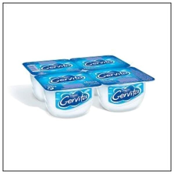 GERVITA NATURE 4 FROMAGE FRAIS 100G DANONE