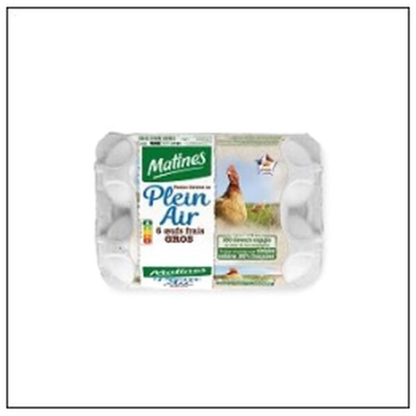 6 GROS OEUFS PLEIN AIR MA TINE GROS