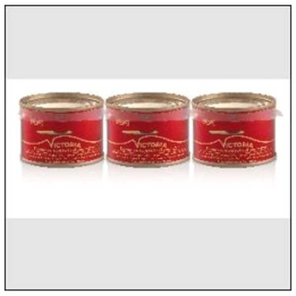 CONCENTRE DE TOMATES 28%* LOT DE 3X1/12