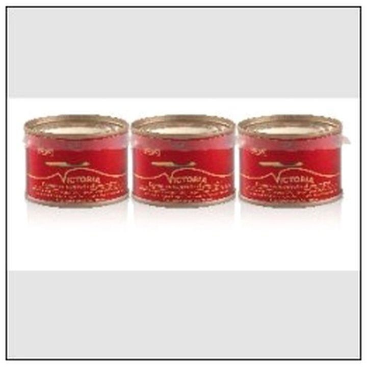 CAT-08257 CONCENTRE DE TOMATES 28%* LOT DE 3X1/12 - Image 1