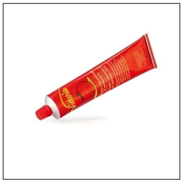CONCENTRE DE TOMATES TUBE 150G