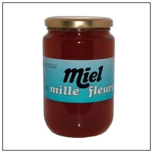 POT 500G MIEL DE FLEURS