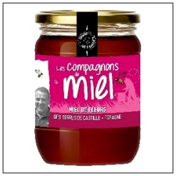 MIEL FLEURS T.CASTILC.M