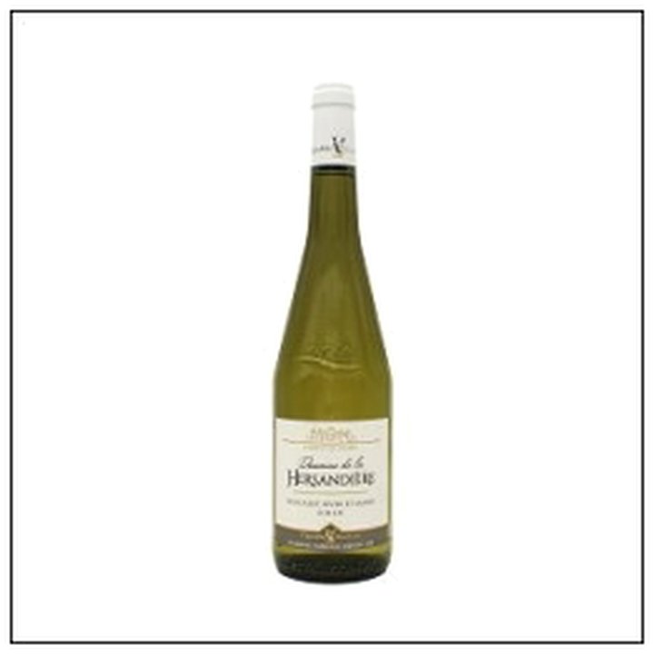 CAT-08404 MUSCAD.S.&MAINE S/LIE AOP DOM. LA HERSANDIERE 2023 - Image 1