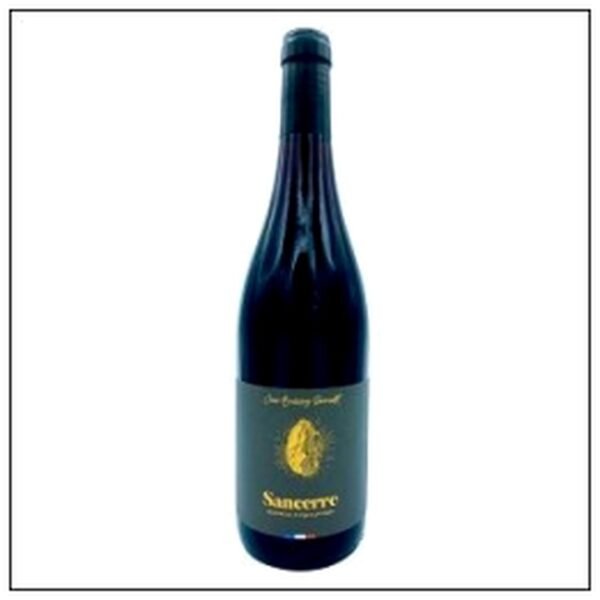 SANCERRE ROUGE CAVE BRISS EZ SENNEDOT 75CL 2023