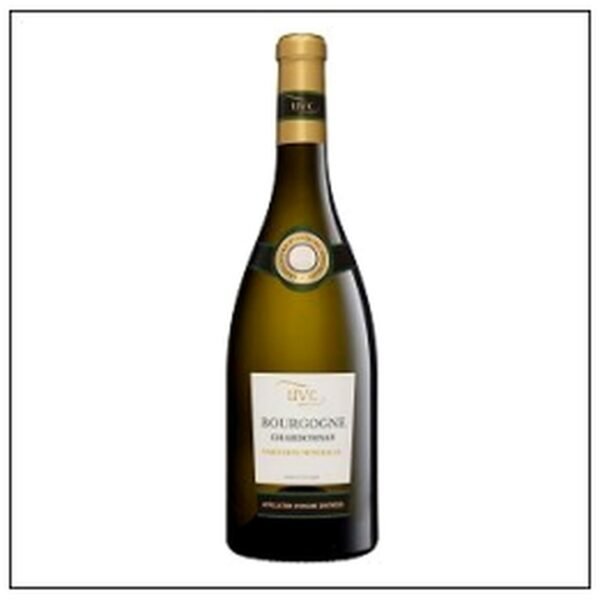 BOURGOGNE CHARDONNAY UVC 75CL