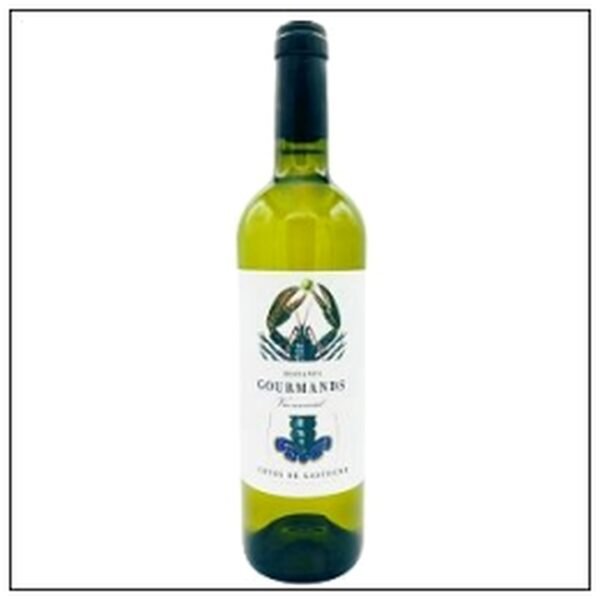 COTE GASCOGNE BLANC INSTA NT GOURMANDS 75CL 2023